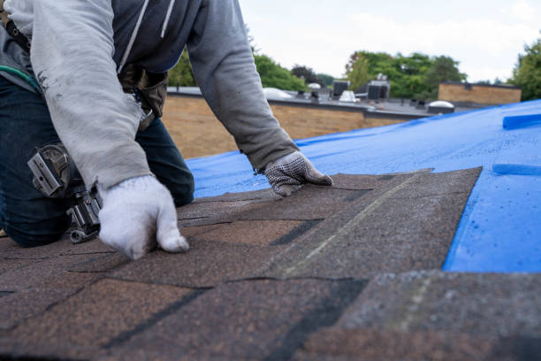 Best Commercial Roofing Services  in Lyles, TN