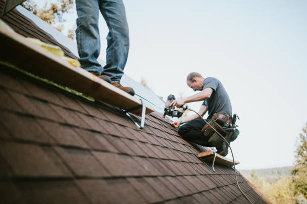 Quick and Trustworthy Emergency Roof Repair Services in Lyles, TN